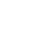 Opening Date